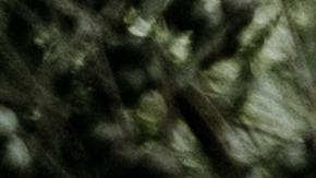 Los cinco preceptos del budismo pueden ser más resistentes al estrés.