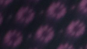 Joseph George Sutherland fue arrestado el pasado jueves.