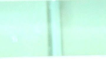 La cantante, actriz, modelo y vedette venezolana Diosa Canales.