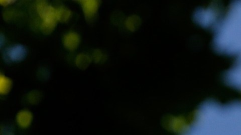 La posibilidad de volar a velocidades supersónicas sobre tierra en aviones comerciales depende de la capacidad de reducir el nivel de los estruendos sónicos.