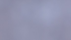 precio-bajo-aguacate