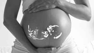 Piden evitar colocar a menores no acompañadas embarazadas en estados republicanos que restringen el procedimiento.