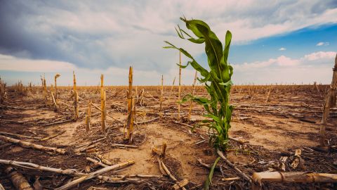 Cambio climático
