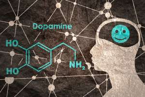 La dopamina, reina del placer y la juventud
