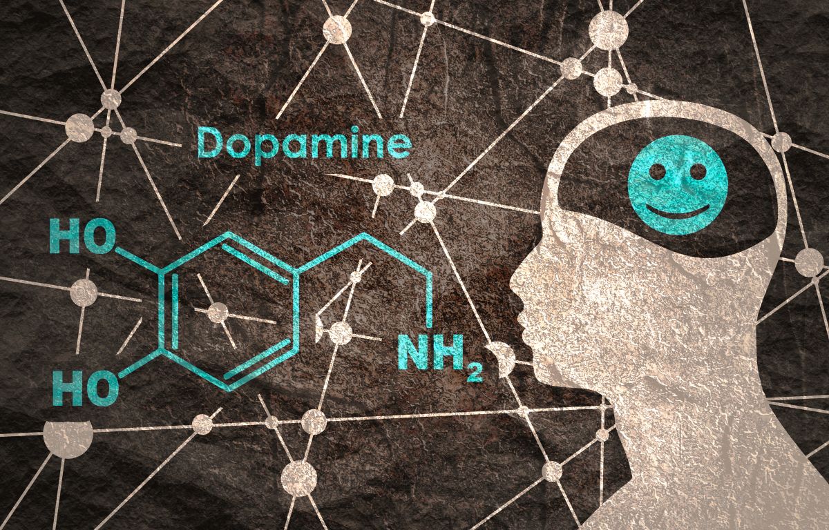 La dopamina, reina del placer y la juventud