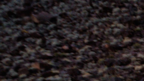 Ruta 66