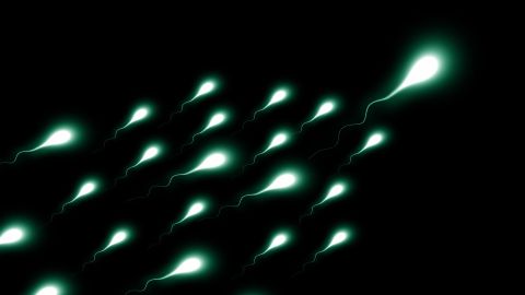 Han relacionado la disminución del conteo de espermatozoides con los estilos de vida.