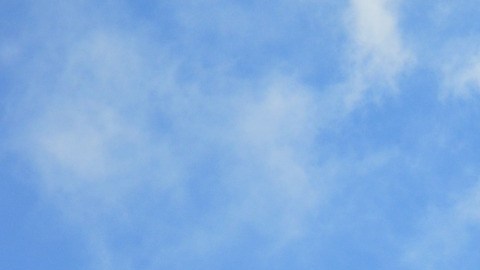 El avión se incendió tras estrellarse en un campo.