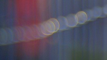 La mujer quería hacer conciencia a favor de los animales criados en un laboratorio.