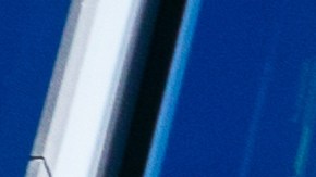 twitter-elon-musk-despidos-inmigrantes