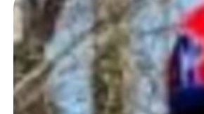 Asesinato adolescentes North Carolina