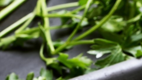 Zanahorias