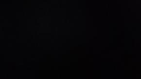 Lionel Scaloni se coronó campeón del mundo en Qatar 2022.