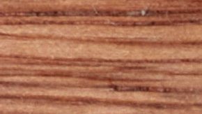 Estos son los dientes de tiburón encontrados en el cementerio acuático.