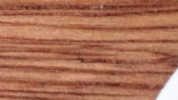 Estos son los dientes de tiburón encontrados en el cementerio acuático.