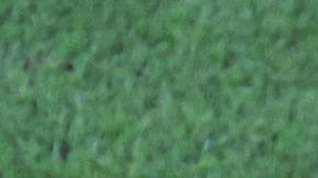 Jawad El Yamiq protagonizó la polémica con un integrante del cuerpo técnico.