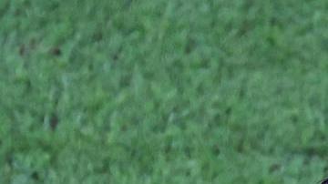 Jawad El Yamiq protagonizó la polémica con un integrante del cuerpo técnico.