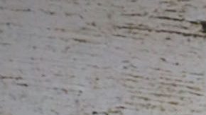 Isabella Castillo en la alfombra y premier en Los Angeles de la telenovela "Malverde: El Santo Patrón".