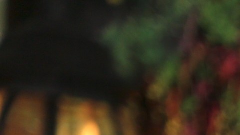 La dominicana Clarissa Molina no se casará el 7 de enero de 2023.