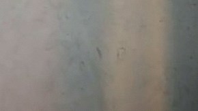 La cubana Livia Brito posa de manera atrevida en sus redes sociales.