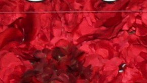 La actriz Aylín Mujica fue una de las famosas confirmadas para la tercera temporada.