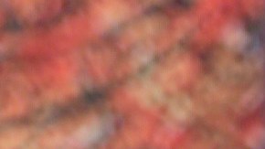 La venezolana Jessica Rodríguez sorprende a la audiencia con un particular vestuario.