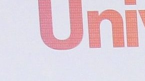 Marlene Favela no contrató a diseñadores expertos para la decoración.