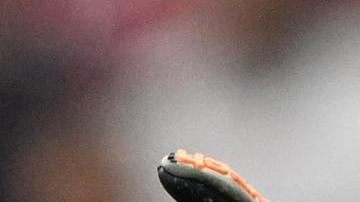 Hugo Lloris debutó en el Mundial de Sudáfrica 2010.