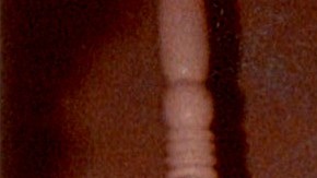 El puertorriqueño Ricky Martin cautivó a sus fanáticos tras compartir parte de su celebración.