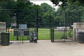 Doctor murió acuchillado en parque de Nueva York: pediatra de 60 años