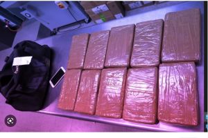 Cocaína valorada en $400 mil dólares fue abandonada en una bolsa en aeropuerto JFK de Nueva York; llegó en un vuelo desde Ecuador
