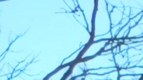 Los alrededores del Rockefeller Center en Midtown NYC son visitados por millones de personas.