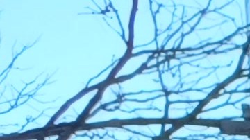 Los alrededores del Rockefeller Center en Midtown NYC son visitados por millones de personas.