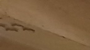 31,000 nuevos inmigrantes llegaron a la Gran Manzana desde la pasada primavera.