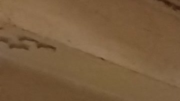 31,000 nuevos inmigrantes llegaron a la Gran Manzana desde la pasada primavera.