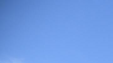 Los aficionados han causado destrozos y accidentes durante las celebraciones.