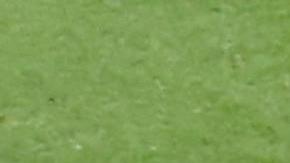 Pepe anotó el segundo gol de la selección de Portugal ante Suiza al minuto 33'.