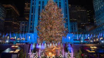 Árbol de navidad 2022 en Rockefeller Center, NYC.