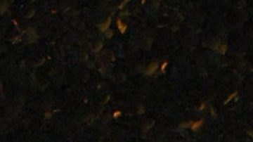 Angélica Rivera reaparece en compañía de José Alberto Castro y sus hijas por Navidad.