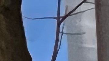 Clima gélido en NYC