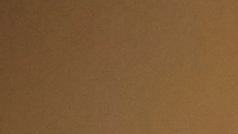 Sacerdote