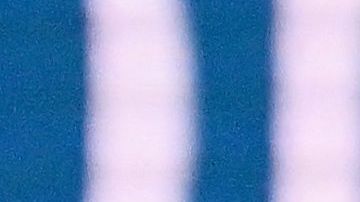 Subastan los tenis que usó Carlos Alcaraz en el US Open y las envían de regreso a Nueva York