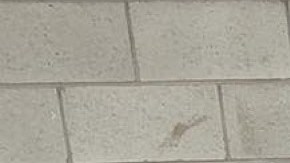 Christopher Spaulding