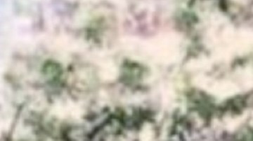 Christopher Williams