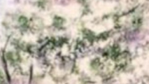 Christopher Williams