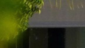 Kate Upton y Justin Verlander pasaron unos días en St-Barts.