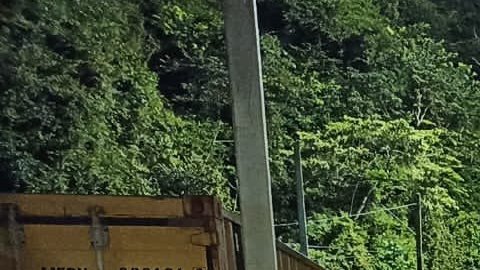 Panamá droga.