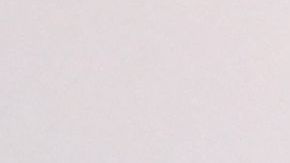 Mundial: Pareja de argentina y francés programaron su boda para el día de la final y tuvieron que retrasarla