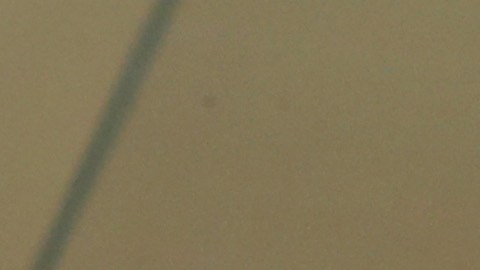 Actualmente sigue en curso la votación para los integrantes del 2023