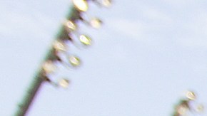 Ecuador quiere defender su título sudamericano